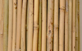 Bambusz termesztő karó