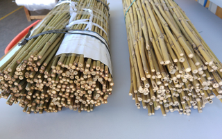 Bambusz termesztő karó